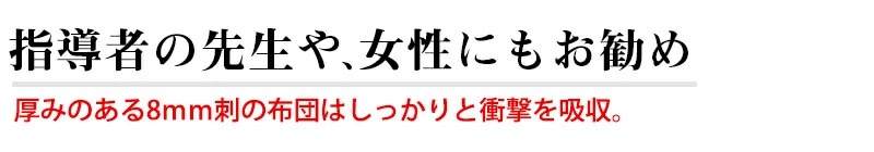 『ミツボシ 天 防具 甲手』8mm織刺「天（てん）」