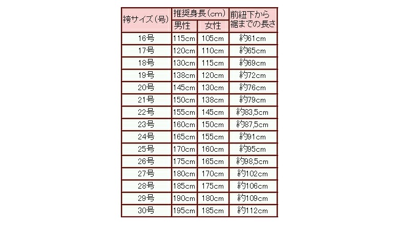 キュービックセンサー剣道袴