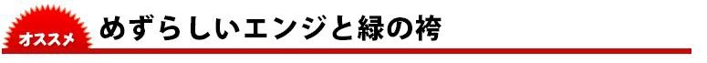 東レテトロン剣道袴(エンジ・緑)