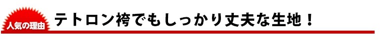 東レテトロン剣道袴(エンジ・緑)