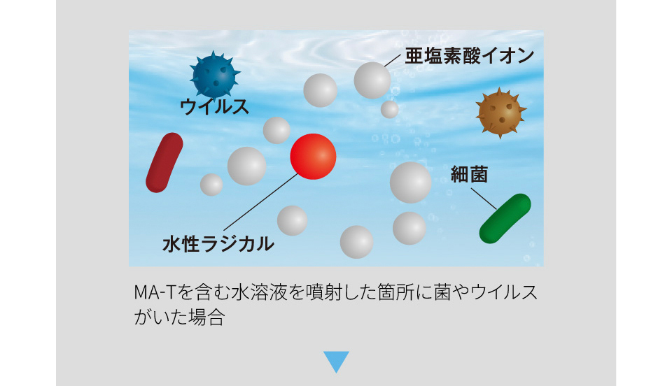 剣道防具用除菌消臭水 「Aqua Create -アクアクリエイト-」