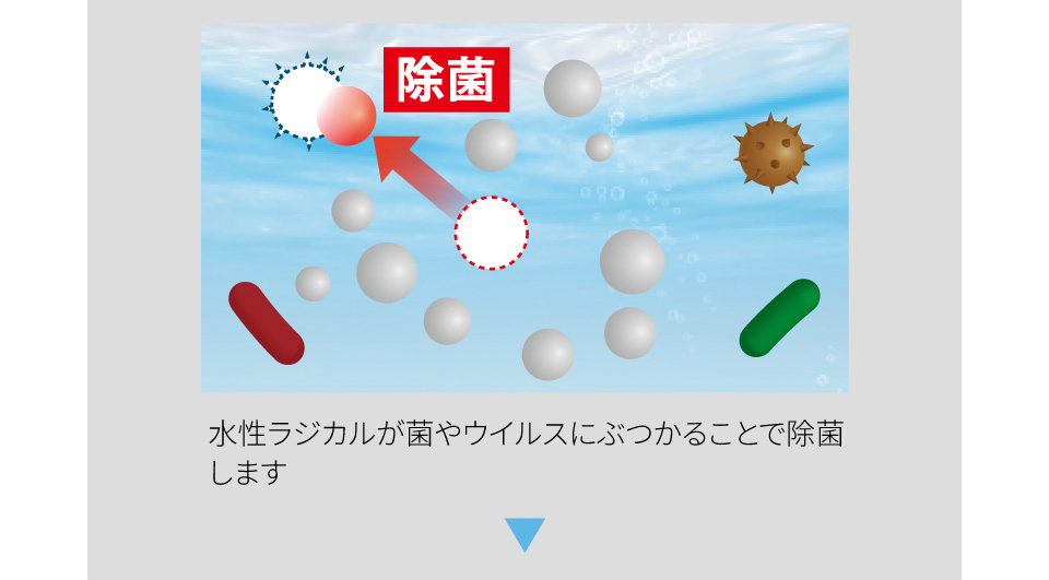 剣道防具用除菌消臭水 「Aqua Create -アクアクリエイト-」
